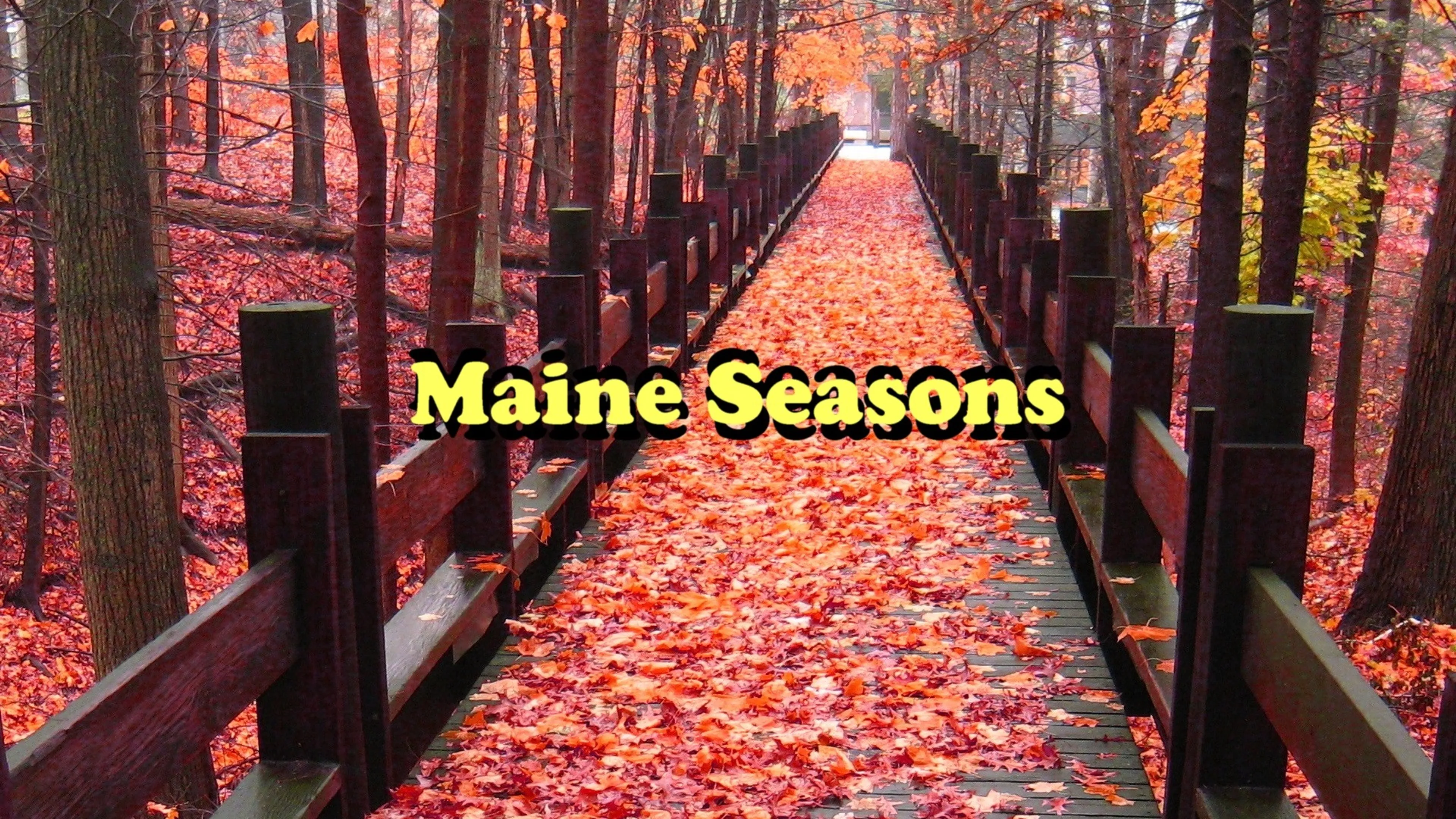 Maine Seasons poster